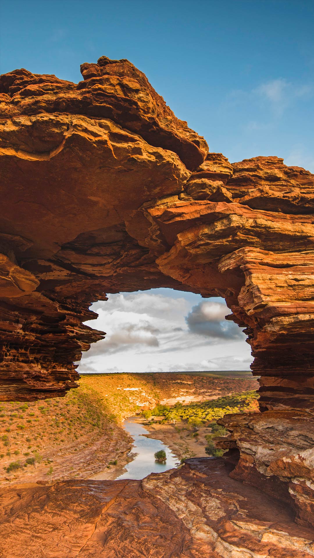 Bing每日图片手机超高清