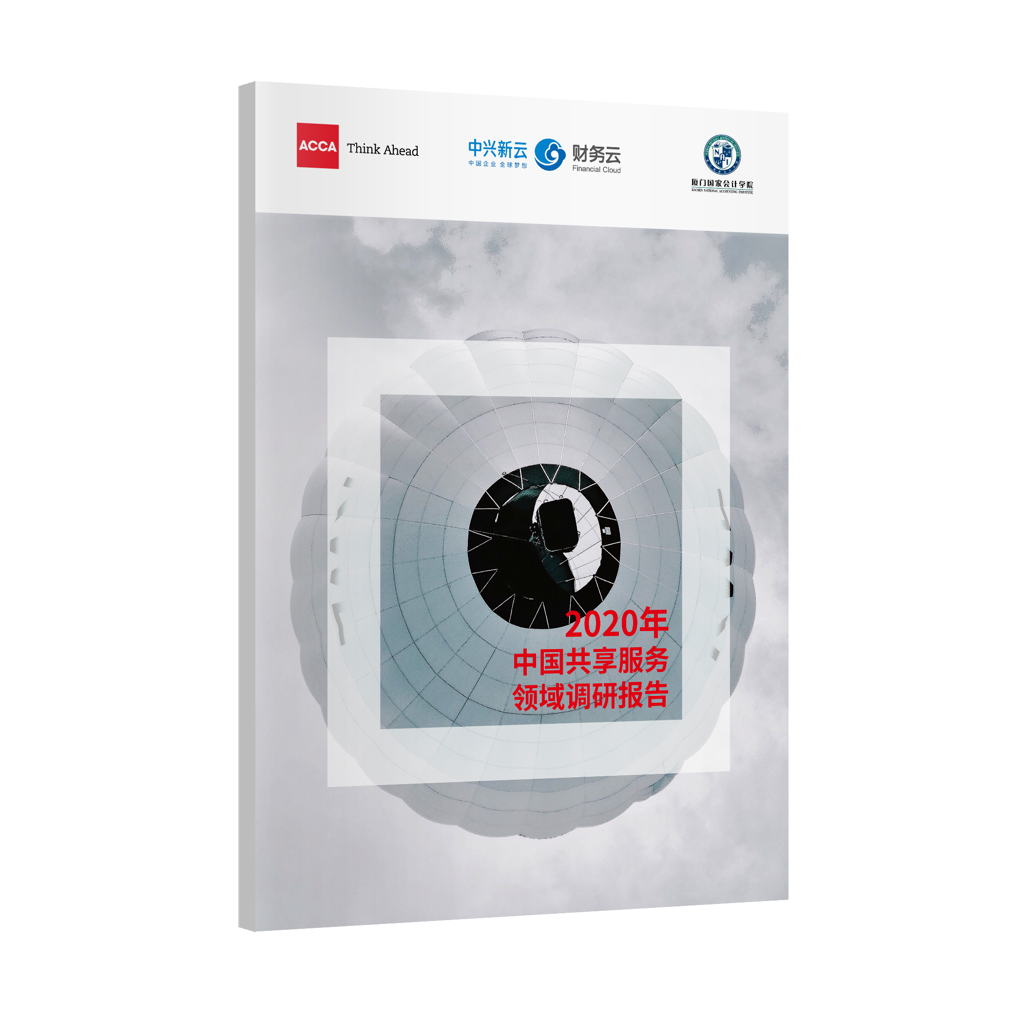 2020年中国共享服务领域调研报告（可打印）