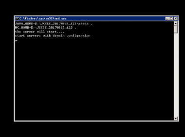 用友NC服务起不来,提示start servers with domain configuration