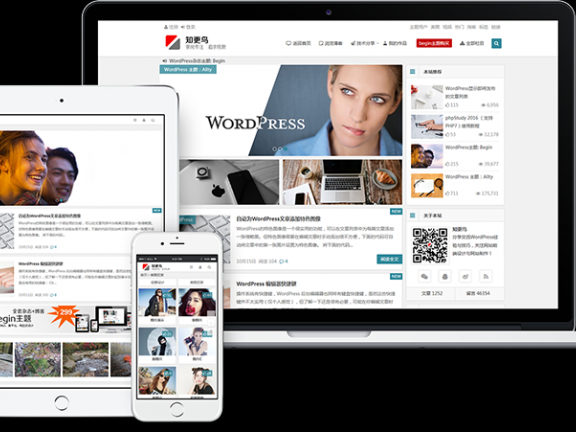 wordpress多用途主题 知更鸟主题beigin介绍