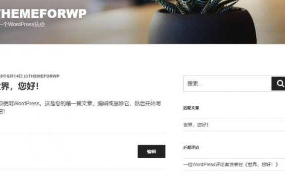 WordPress建站教程 从零开始服务器搭建网站超详细