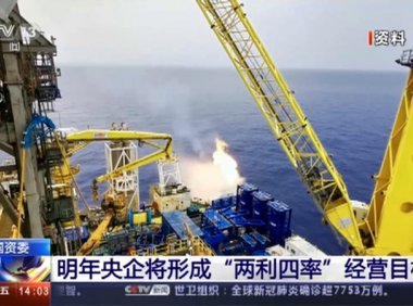 国资委对中央企业“两利四率”指标的考核具体指的是什么？