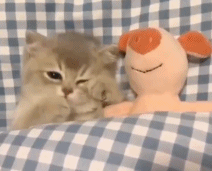 鲁宾爱情量表(2021年新版)