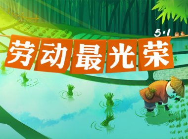 吾爱会计网祝各位会计人五一劳动节快乐!