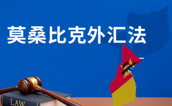 专题：莫桑比克外汇法