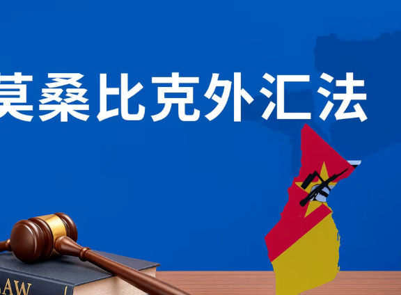 专题:莫桑比克外汇法